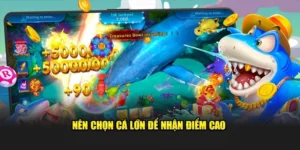 Cách Chơi Bắn Cá Đại Dương FB88 Thắng Đậm Chinh Phục Thưởng Khủng