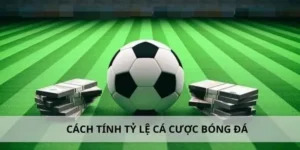 Tìm Hiểu Cá Cược Bóng Đá FB88 Đỉnh Cao Giải Trí Thể Thao Sôi Động