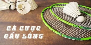 Cách Chơi Cá Cược Cầu Lông FB88 Thắng Lớn Kịch Tính 2025