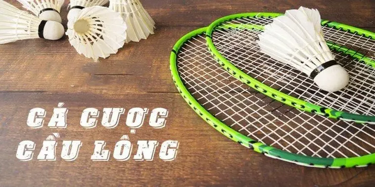 Cách Chơi Cá Cược Cầu Lông FB88 Thắng Lớn Kịch Tính 2025