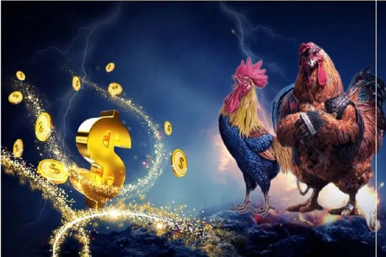 Bí Quyết Thắng Lớn Đá Gà WS168 Tại FB88 Hấp Dẫn Nhất 2025